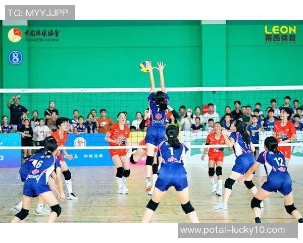 上海排球队技术争议引发热议球迷与专家各抒己见探讨未来发展方向