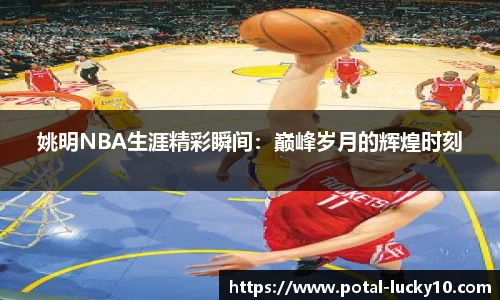 姚明NBA生涯精彩瞬间：巅峰岁月的辉煌时刻