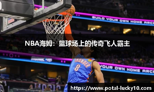 NBA海姆：篮球场上的传奇飞人霸主