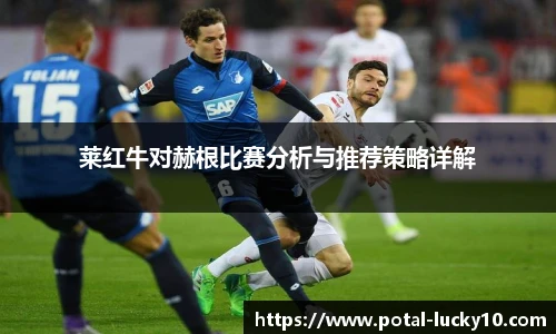 莱红牛对赫根比赛分析与推荐策略详解